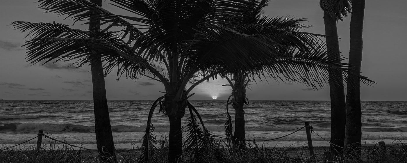 Hollywood North Beach